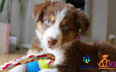 Coatings for a Cause: A Better Garage, A Bigger Impact